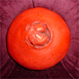 tattyorange.jpg