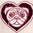 valentine-pug