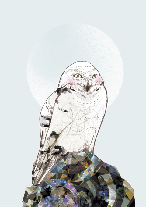 Jo Cheung Snowy Owl