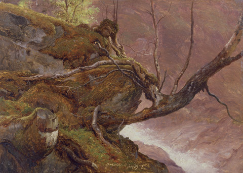 Tree Study , by a Stream, Granvin 11 July 1839 Thomas Fearnley