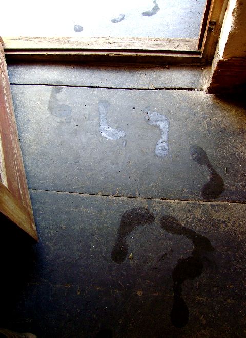 Footprints in the farmhouse