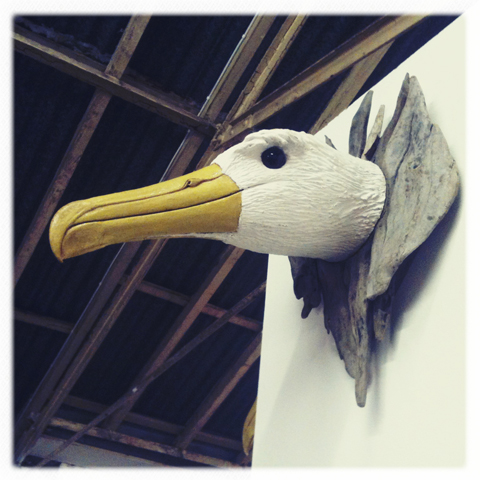 Gone Birds -albatross