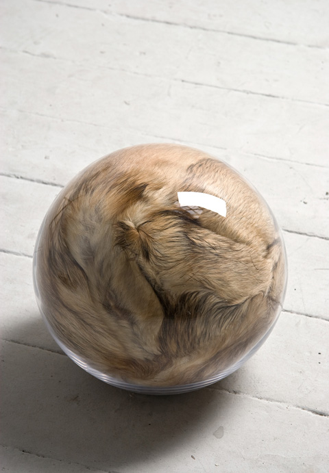 HairyEyeBall_Adeline de Monseignat