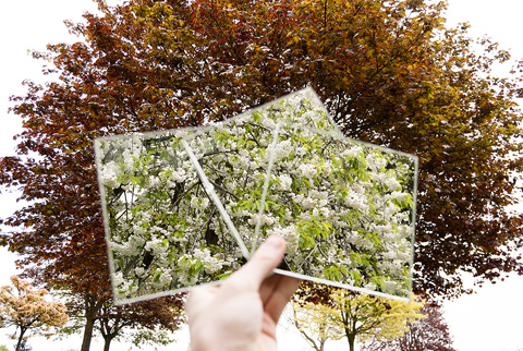 Nottingham Trent_Photography_Paavo Lyle-Smythe. Deck of mirrors