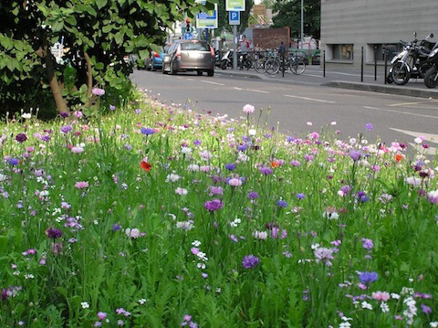 River of Flowers