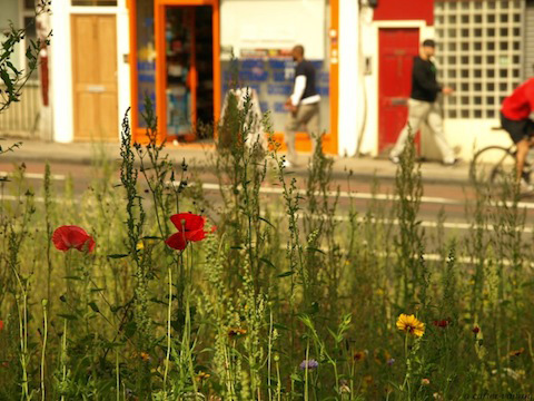 River of Flowers