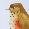 our garden birds matt sewell -thb