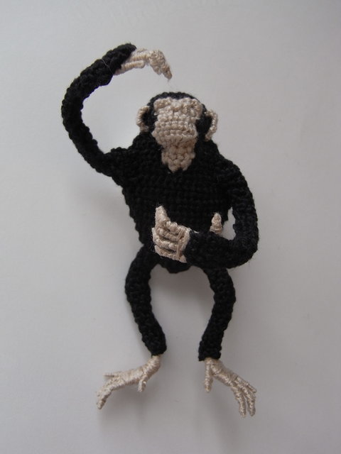 Monkey by Hipota