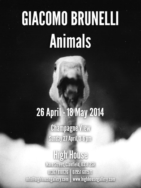High House-invite-Animals-Giacomo Brunelli High House-invite-Animals-Giacomo Brunelli