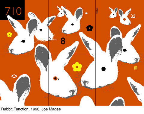 joe_magee-Rabbit Function