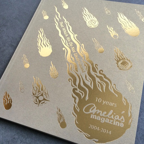 TWWDNU gold foil front cover_Amelias_magazine