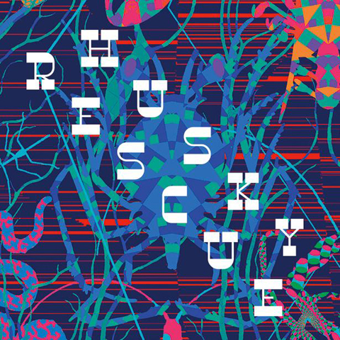 Husky rescue the long lost friend album cover
